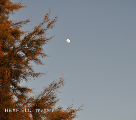HEXFIELD, TRAPPER - Album Cover